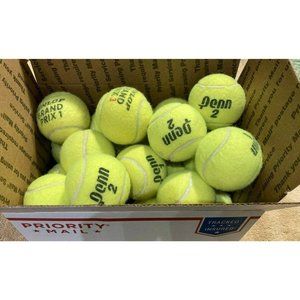 25 TENNIS BALLS INDOOR USED, EXCELLENT CLEAN ~ Great DOG Toys & Dogs Love Em!